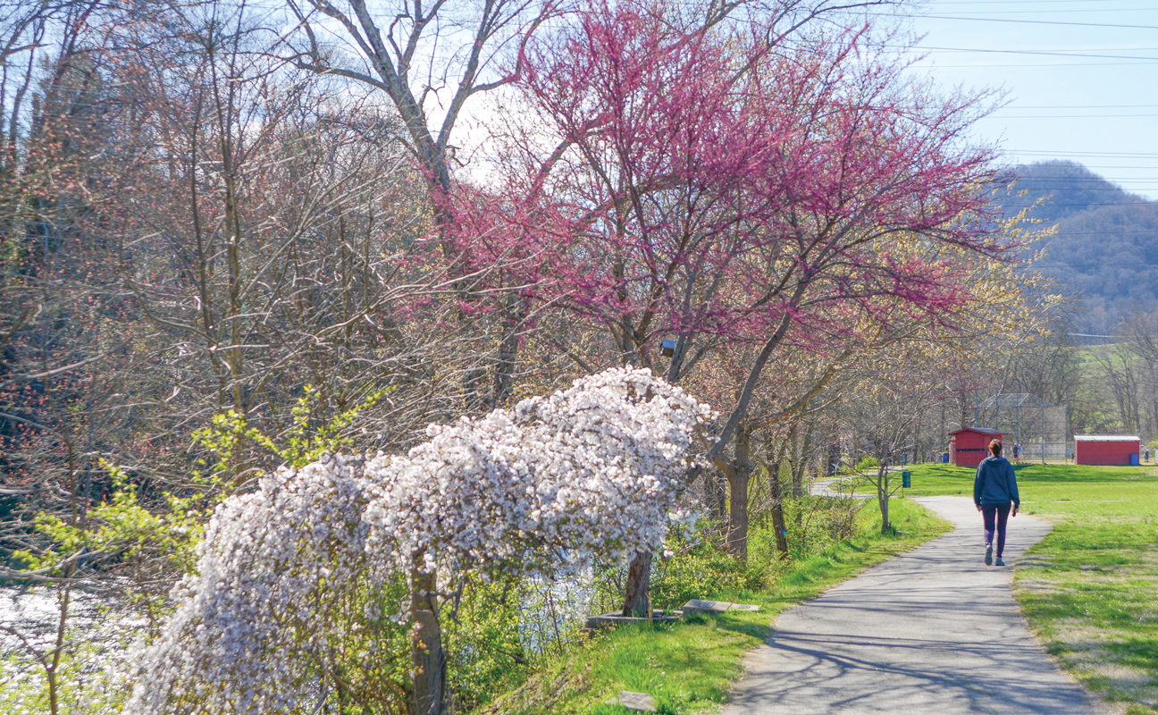 Canton hosts open house to unveil comprehensive plan